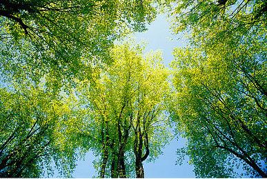 《木卫四协议》《魔咒之地》将是AMD 7900系列显卡优化